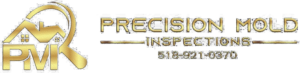 Precision Mold Inspections